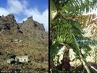 São Nicolau, Landschaft, Bananen