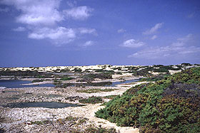 Kapverden Sal Landschaft Landschaft im Südosten von Sal