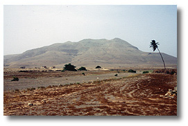 Wüstenlandschaft bei João Barrosa