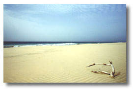 Unerschlossener Traumstrand - Praia de Santa Mónica