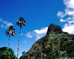 Cabo Verde: Ribeira da Torre, Santo Antão